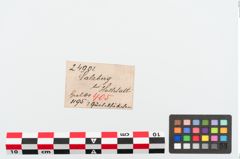 Etiketten zu Bronzegürtelhaken (NHMW-PRAE-024901)